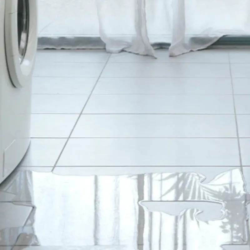 Appliance Leak Cleanup in Oakland, MD