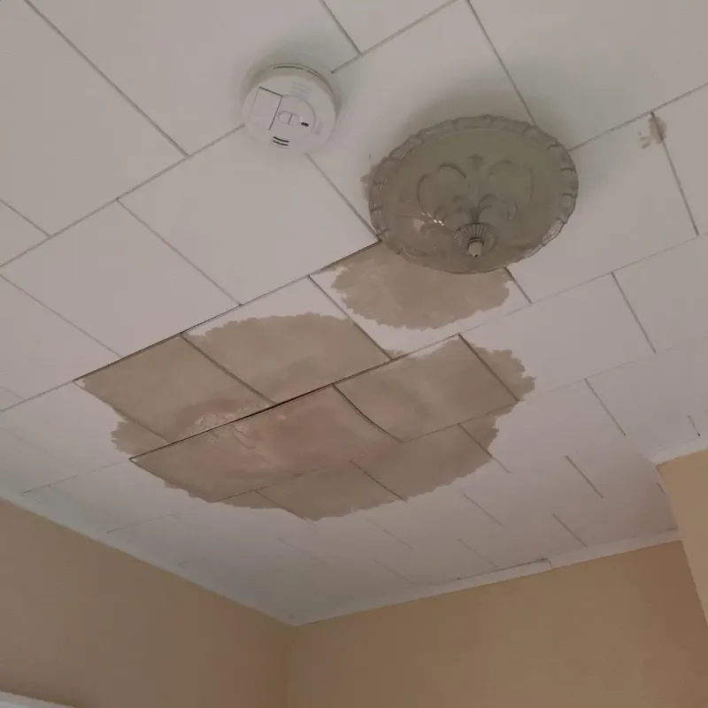 Ceiling Water Damage Repair in Oakland, MD