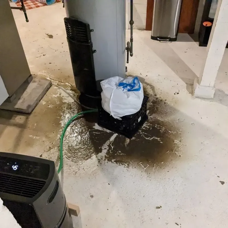 Sewage Backup Cleanup Service in Oakland, MD